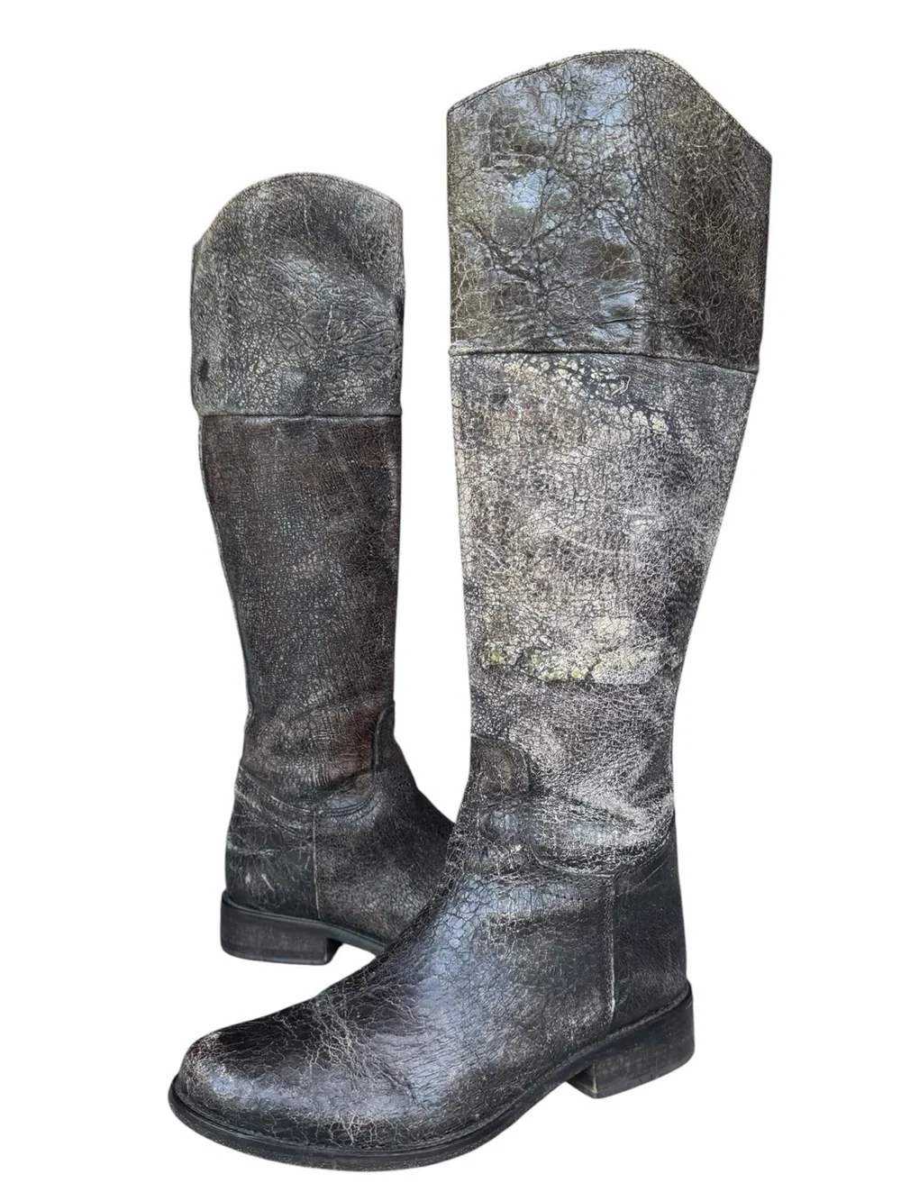 • STEVE MADDEN • Steve Madden crackle “Reins” equestrian riding boots 7.5